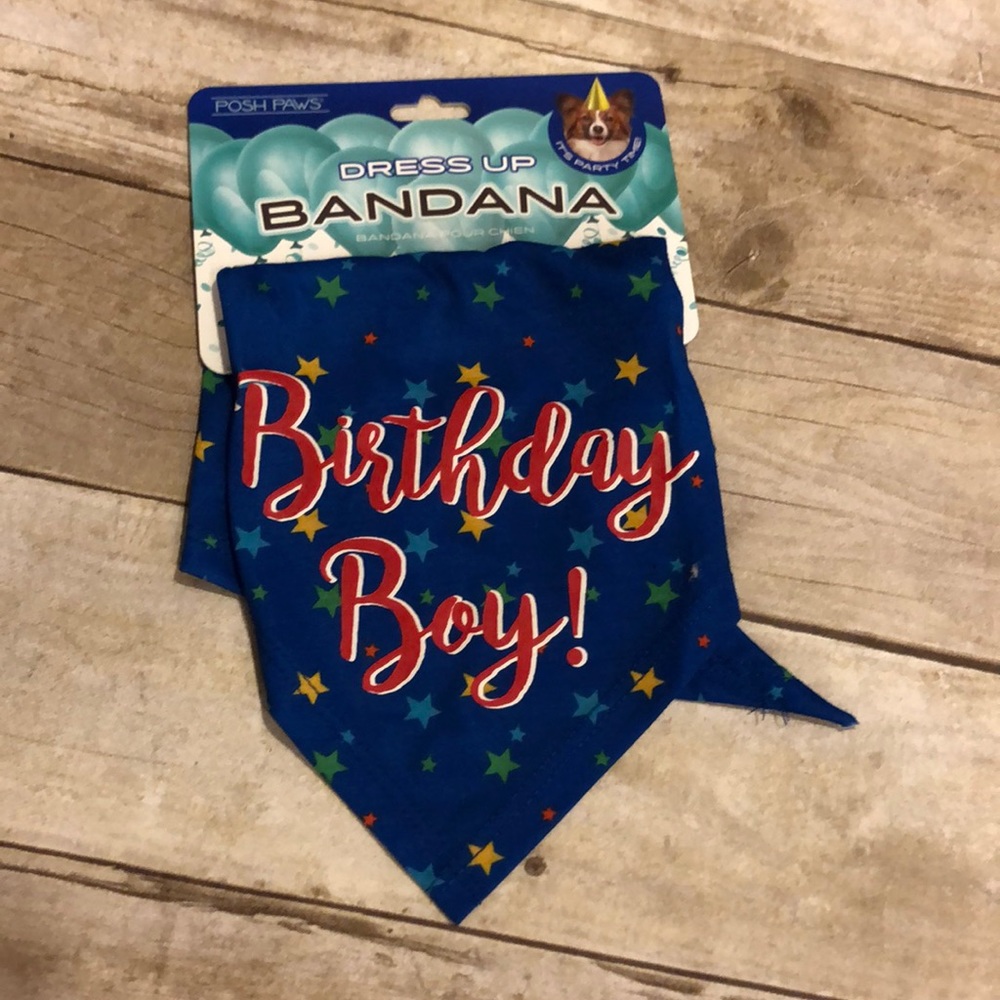 Posh Paws Birthday Boy Doggie Bandana Small